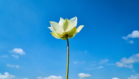 環(huán)保 提升“三個(gè)能力”打造“三型”環(huán)保