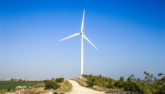 禁止在生態(tài)功能重要區(qū)林地建風(fēng)電場